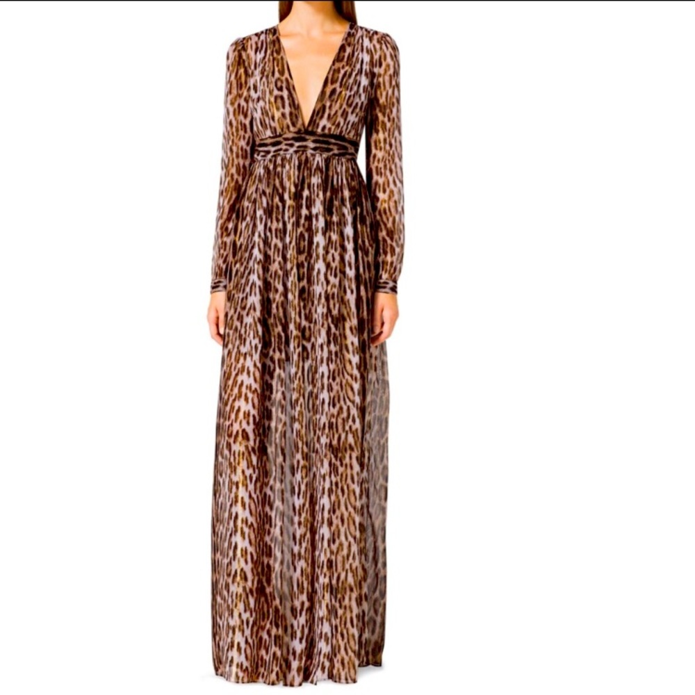 Michael Kors Animal Print Sheer chiffon Maxi Dress